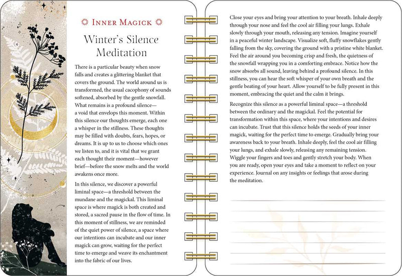 Year of the Witch 2026 Weekly Planner Calendar by Temperance  Alden