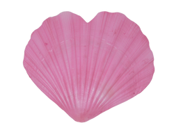 Heart Shaped Shell Trinket Dish