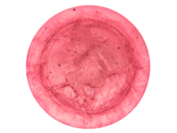 pink circular soap withi black seeds and witch baby logo on top