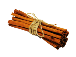 bundle of cinnamon sticks wrapped in twine