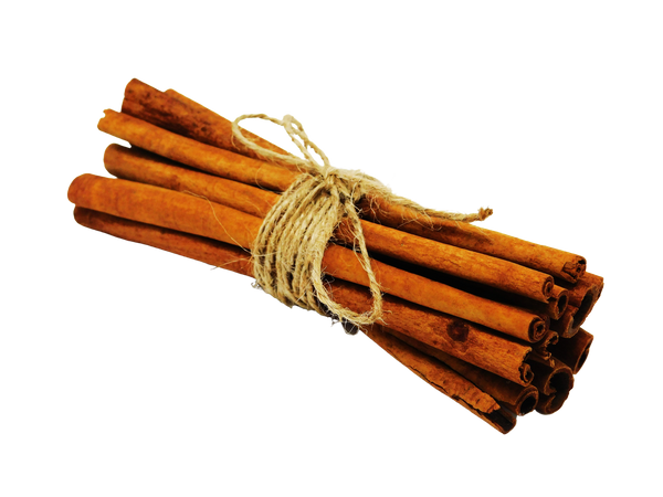 bundle of cinnamon sticks wrapped in twine