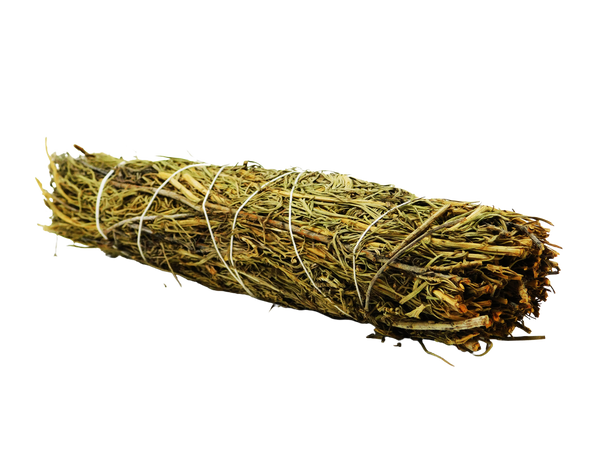 green sage leaves bundled with white string 